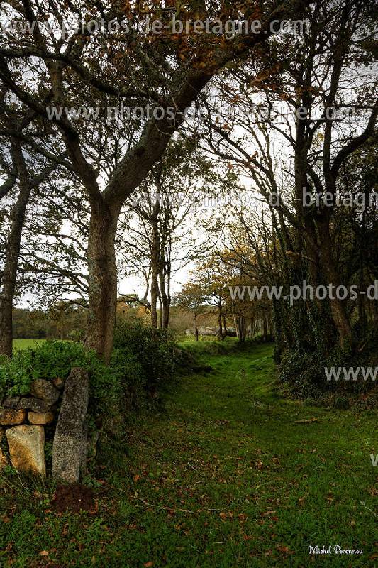 ../pages/du-cote-de-la-chapelle-de-kerven-tregunc.html
