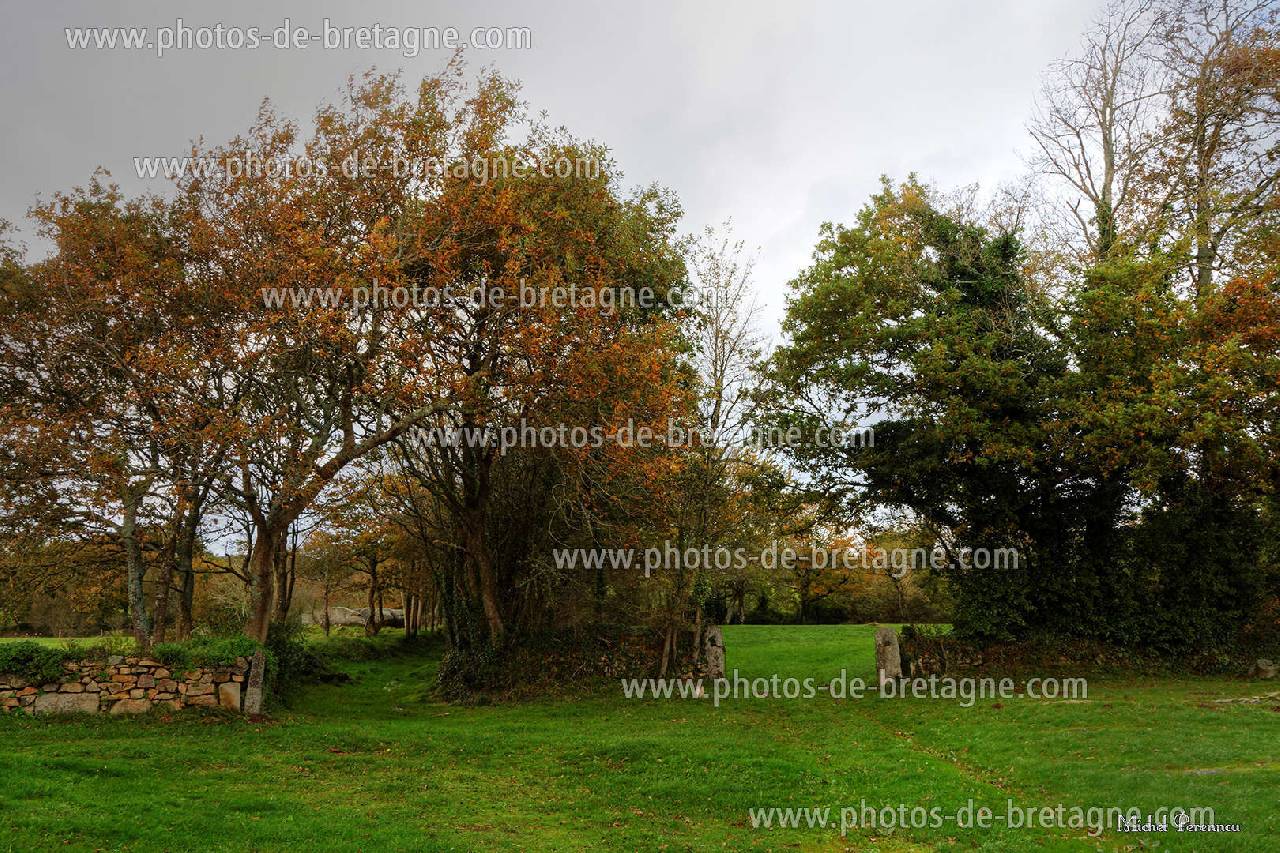 ../pages/du-cote-de-la-chapelle-de-kerven-tregunc(79).html