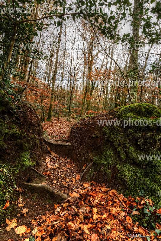 ../pages/couleurs-d-automne-au-henan-nevez.html