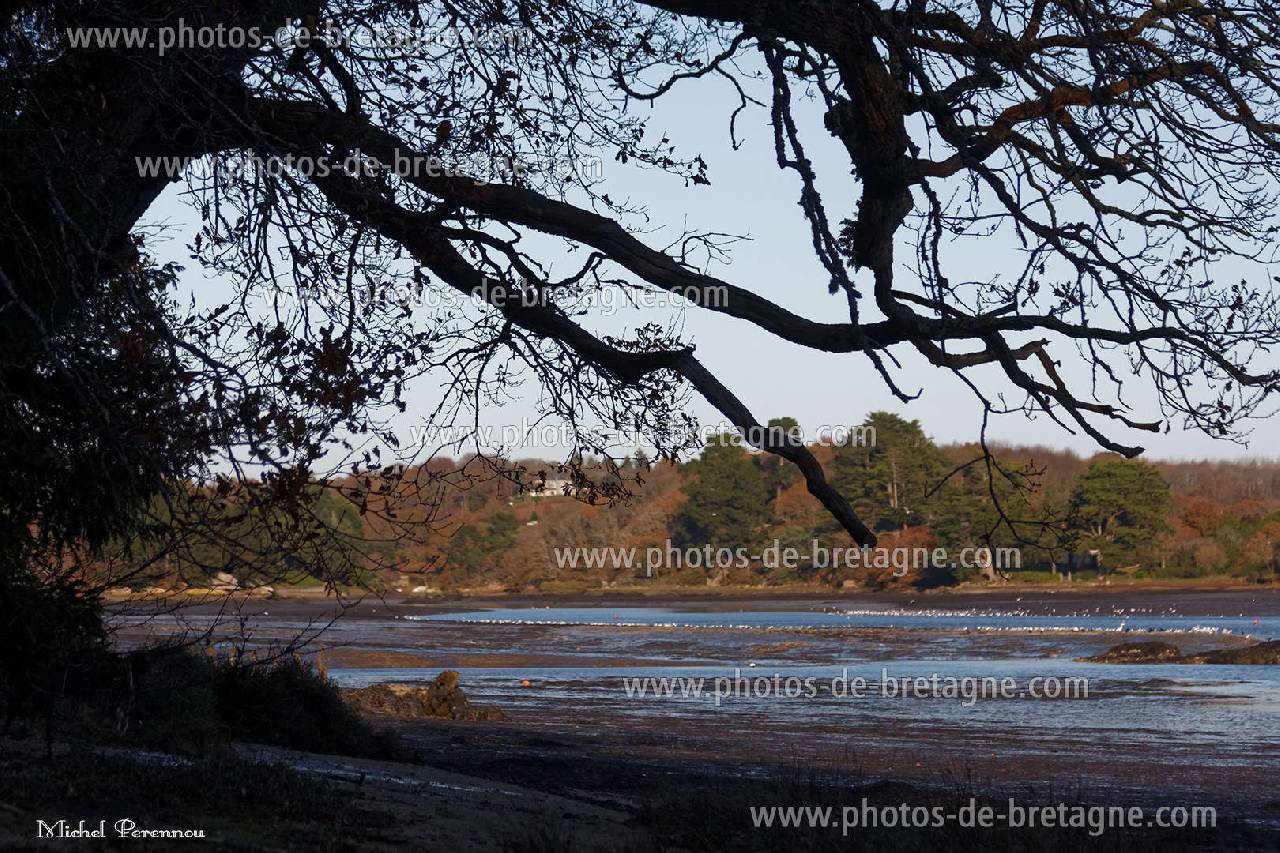 ../pages/au-henan-nevez(76).html