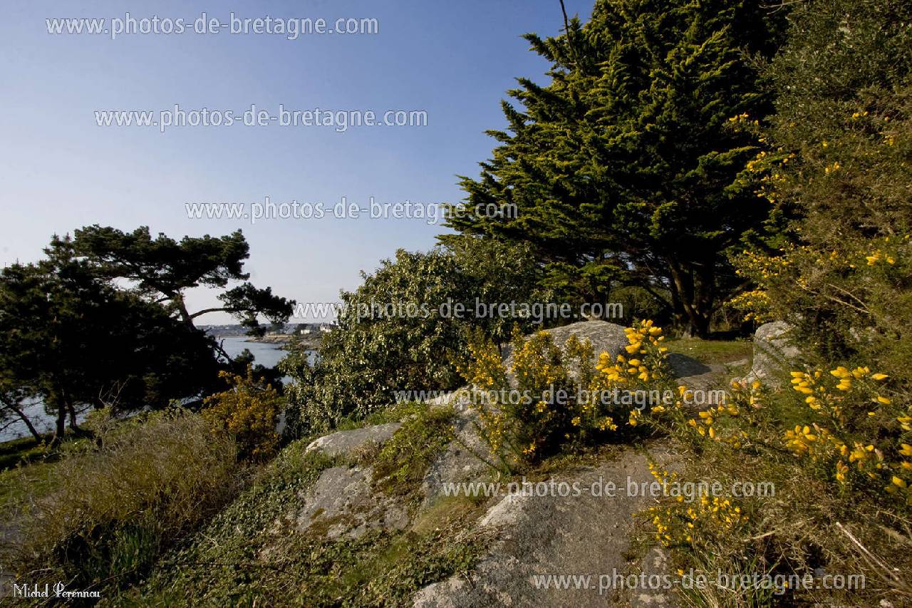 ../pages/a-concarneau(72).html