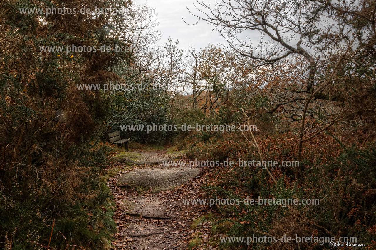 ../pages/au-henan-nevez(102).html