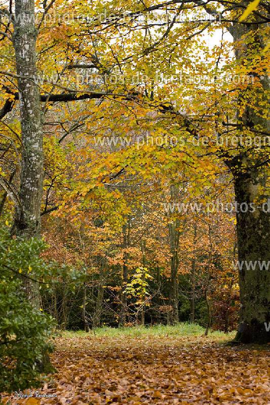 ../pages/couleurs(58).html