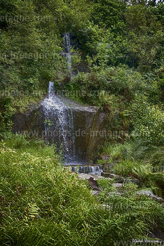 Dans le parc du château de Trevarez