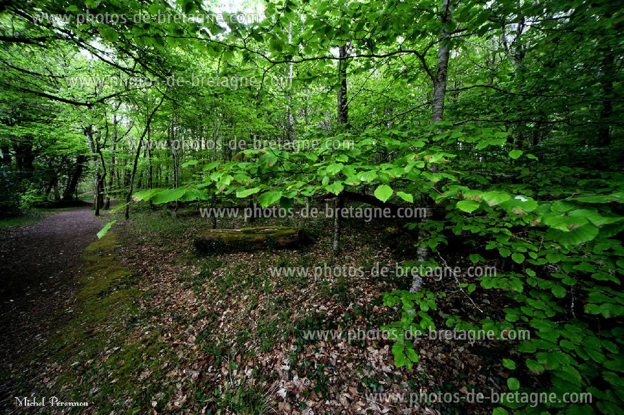 Campagne, à Concarneau