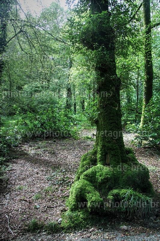 ../pages/au-huelgoat.html