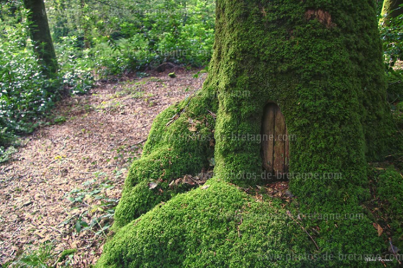 ../pages/du-ct-du-huelgot-dans-la-campagne.html