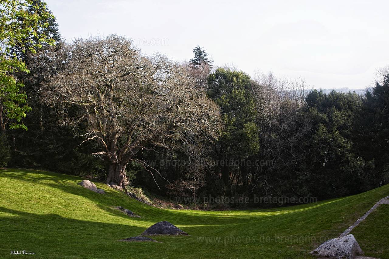 ../pages/dans-le-parc-du-chateau-du-henan.html